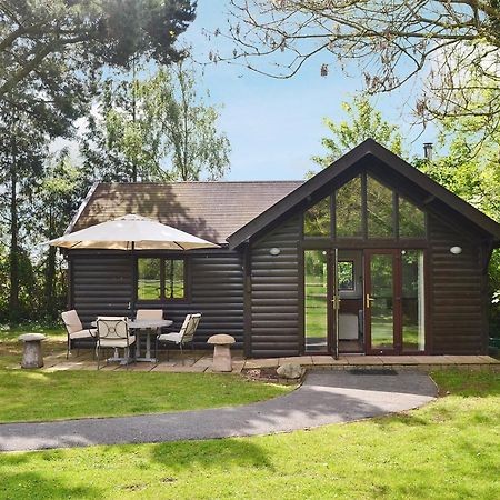 Strawberry Lodge Чеддар Екстер'єр фото